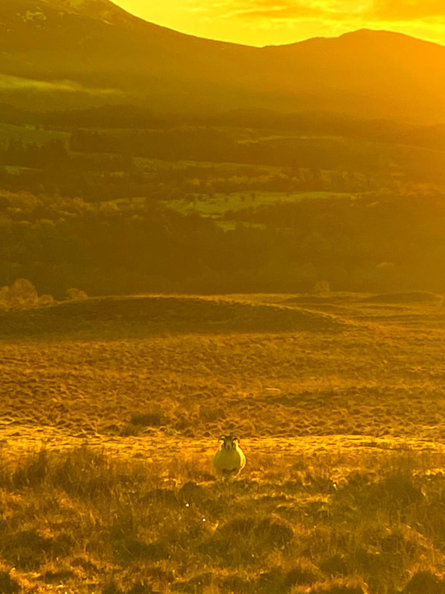 Bed and Breakfast Smiddy House Spean Bridge Exteriér fotografie